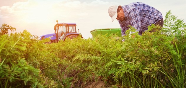 Ces mtiers que les apprentis dlaissent